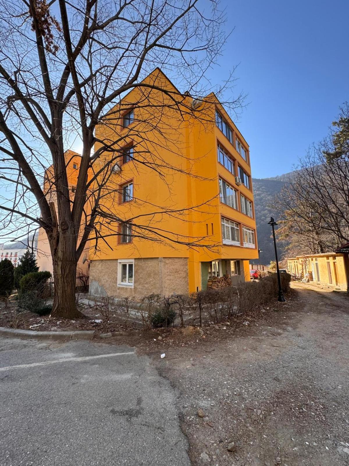 Linen Tree Apartment Băile Herculane Exterior photo