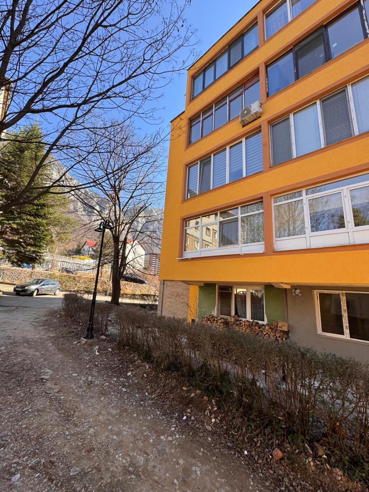 Linen Tree Apartment Băile Herculane Exterior photo
